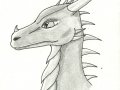 drak0001.jpg
